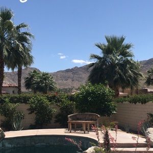 Meet your Posher, Desiree